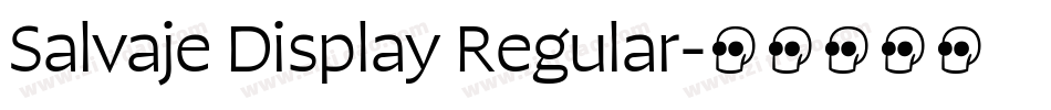 Salvaje Display Regular字体转换
